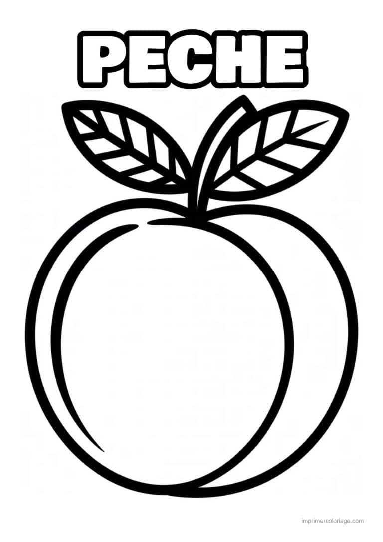 coloriage peche abricot prune peche au trait epais - dessin gratuit &agrave; imprimer