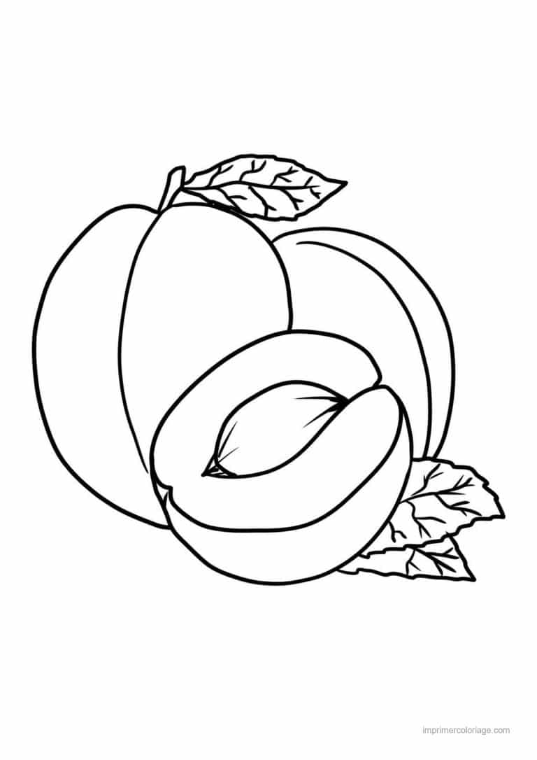 coloriage peche abricot prune peche entiere et coupee 4 - dessin gratuit &agrave; imprimer
