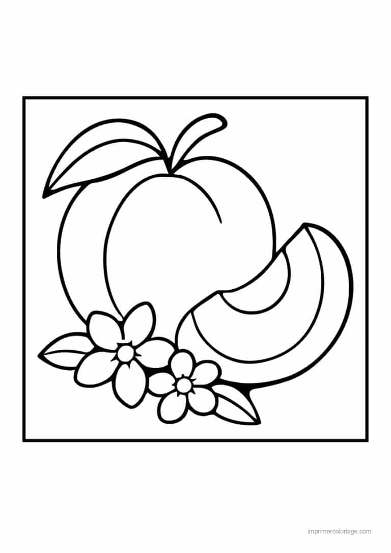 coloriage peche abricot prune peche et quartier - dessin gratuit &agrave; imprimer