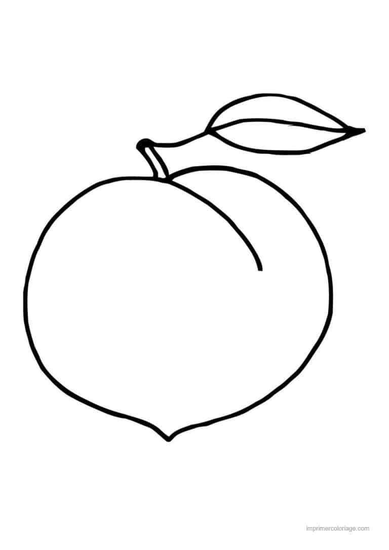 coloriage peche abricot prune peche et sa feuille 2 - dessin gratuit &agrave; imprimer