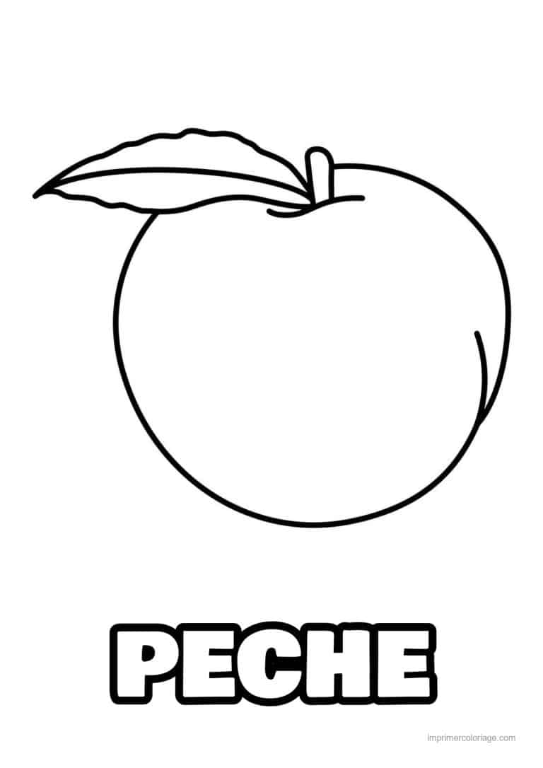 coloriage peche abricot prune peche et sa feuille 3 - dessin gratuit &agrave; imprimer