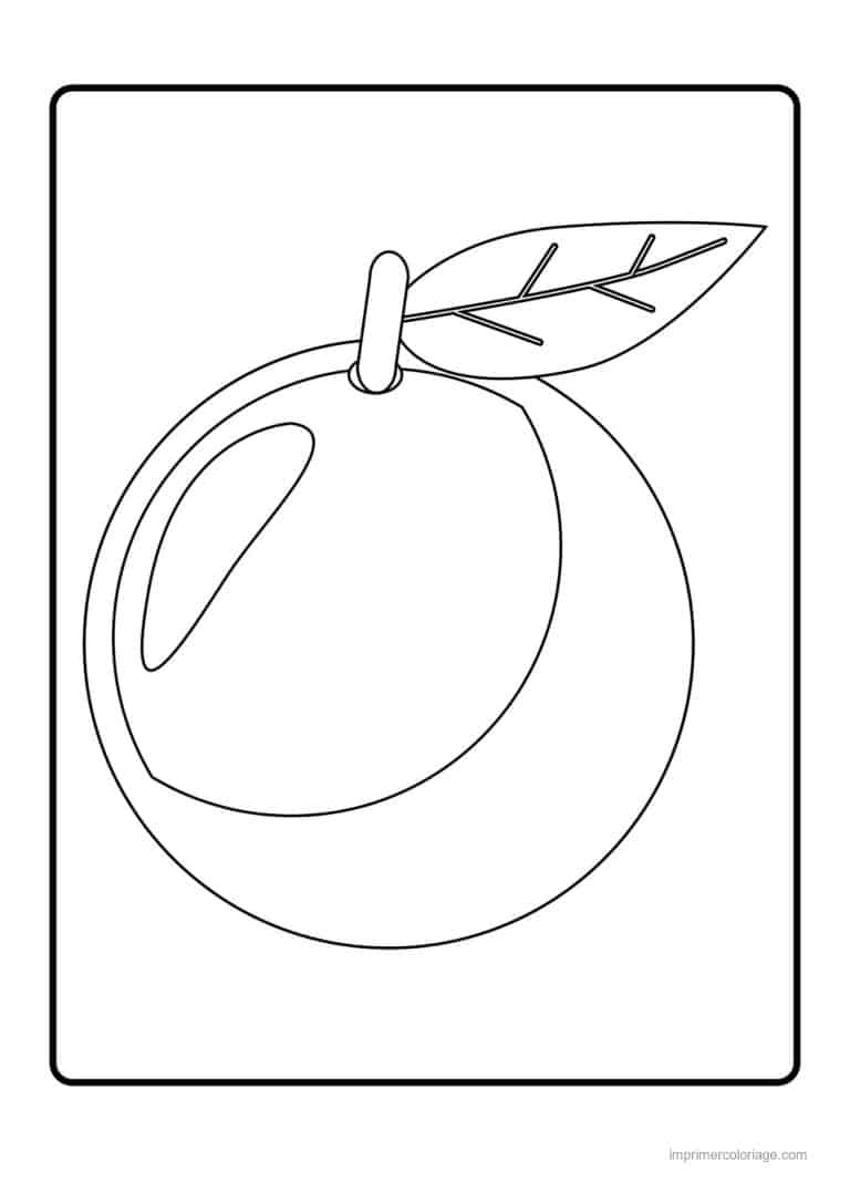 coloriage peche abricot prune peche et sa feuille 4 - dessin gratuit &agrave; imprimer