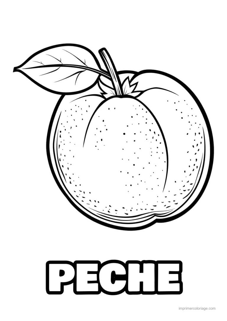 coloriage peche abricot prune peche gravee 202 - dessin gratuit &agrave; imprimer