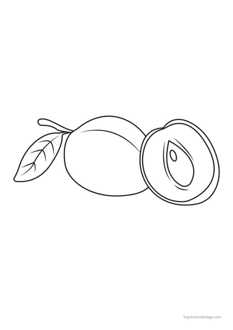 coloriage peche abricot prune prune entiere et coupee - dessin gratuit &agrave; imprimer