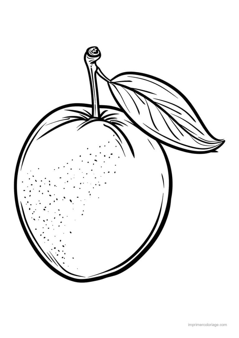 coloriage peche abricot prune prune et ses feuilles 167 - dessin gratuit &agrave; imprimer
