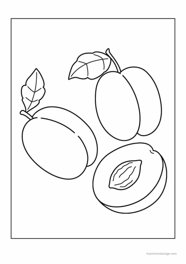 coloriage peche abricot prune prunes entiere et coupee 2 - dessin gratuit &agrave; imprimer