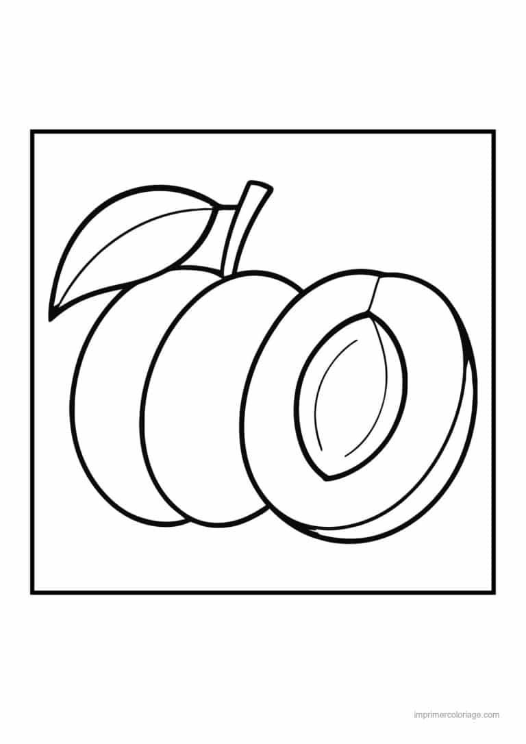 coloriage peche abricot prune prunes entiere et coupee - dessin gratuit &agrave; imprimer