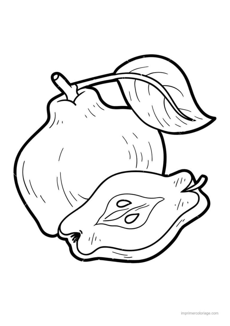 coloriage poire coing entier et coupe 2 - dessin gratuit &agrave; imprimer