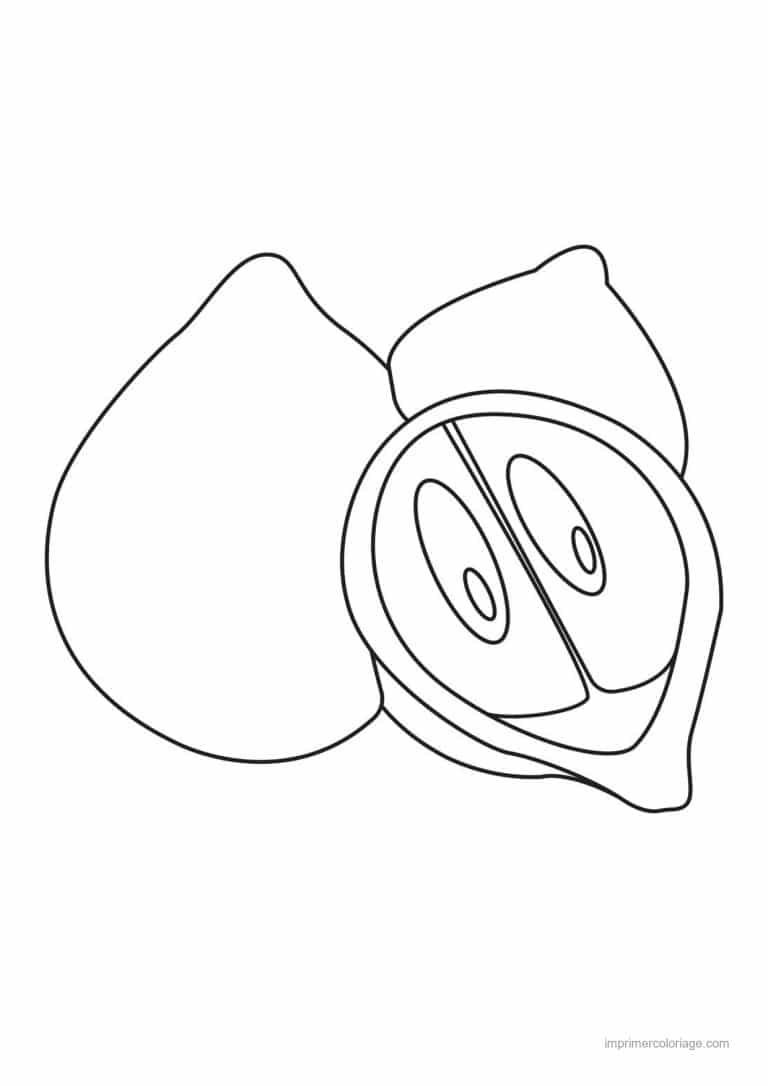 coloriage poire coing entier et coupe - dessin gratuit &agrave; imprimer