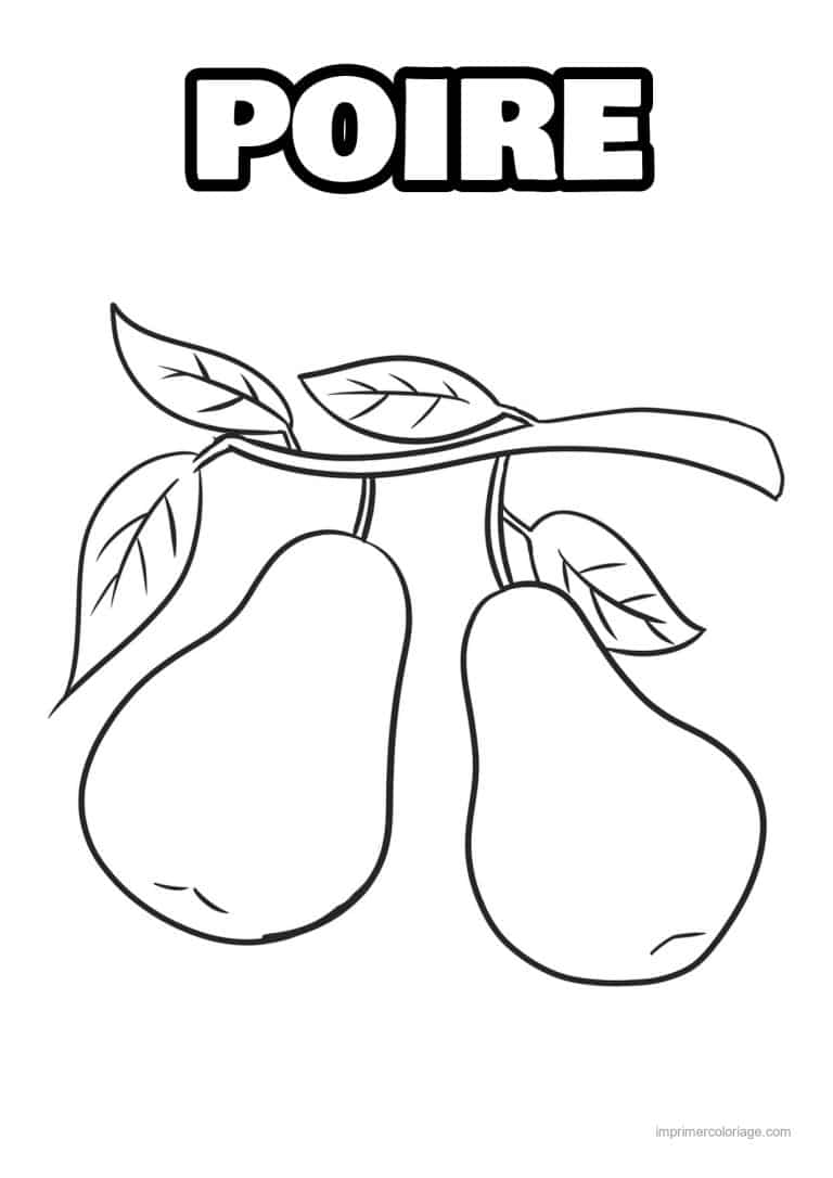 coloriage poire deux poires sur la branche - dessin gratuit &agrave; imprimer