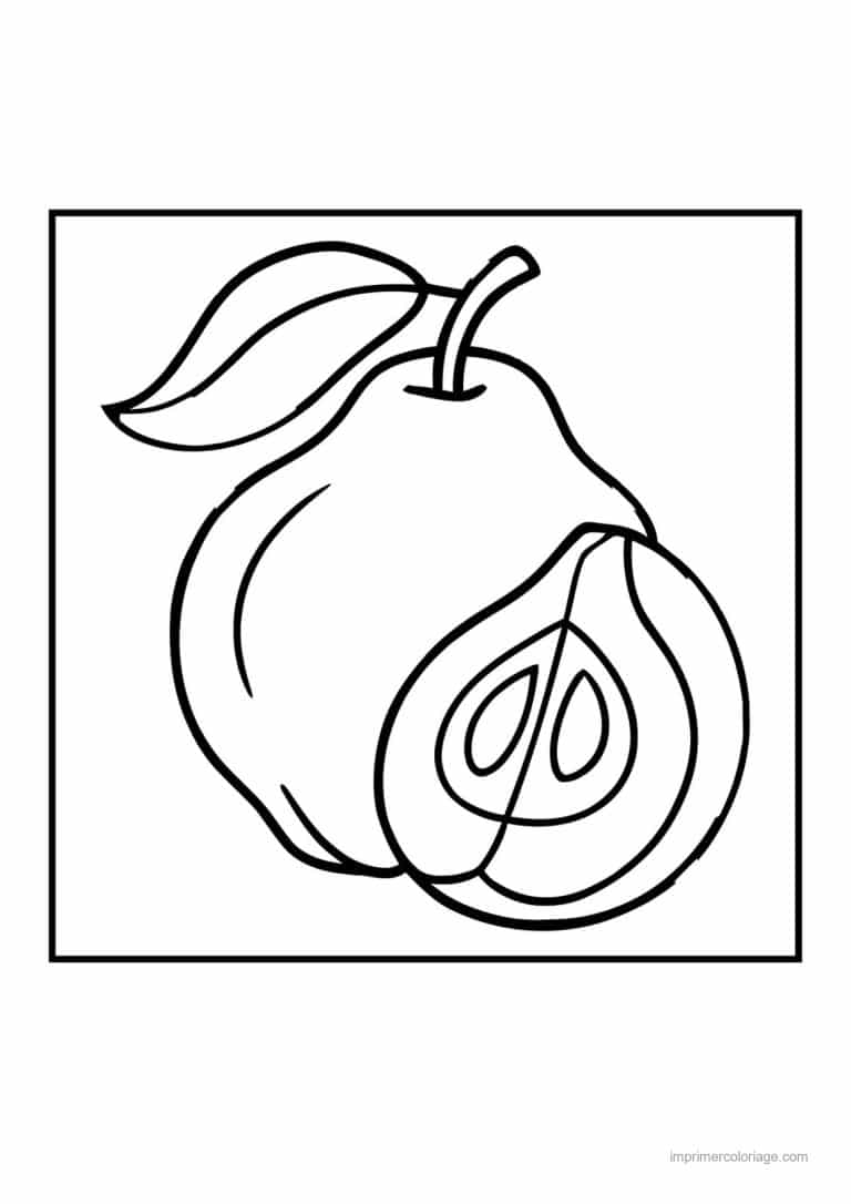 coloriage poire poire entiere et coupee - dessin gratuit &agrave; imprimer