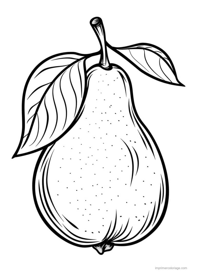coloriage poire poire et sa tige 132 - dessin gratuit &agrave; imprimer