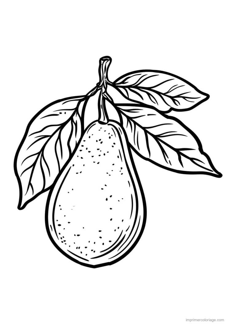coloriage poire poire et sa tige 184 - dessin gratuit &agrave; imprimer