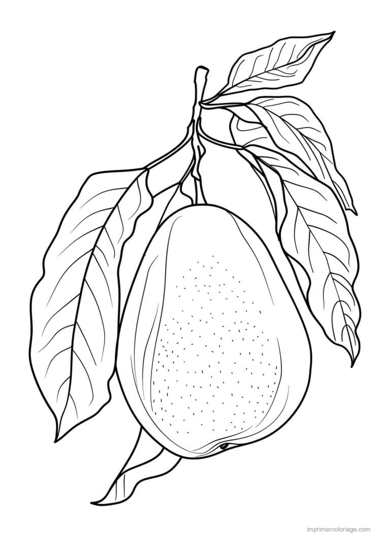 coloriage poire poire gravee 56 - dessin gratuit &agrave; imprimer