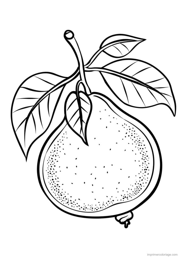 coloriage poire poire gravee et ses feuilles - dessin gratuit &agrave; imprimer