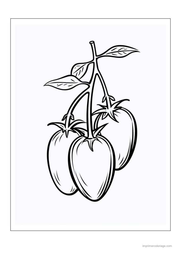 coloriage poivron piment poivrons sur leur branche 1 - dessin gratuit &agrave; imprimer