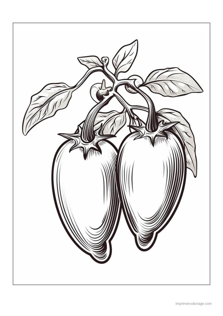 coloriage poivron piment poivrons sur leur branche 4 - dessin gratuit &agrave; imprimer