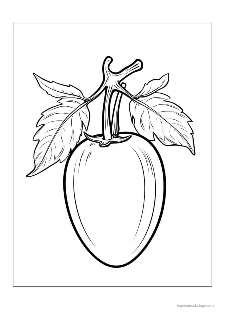 coloriage poivron piment poivrons sur leur branche 6 - dessin gratuit &agrave; imprimer