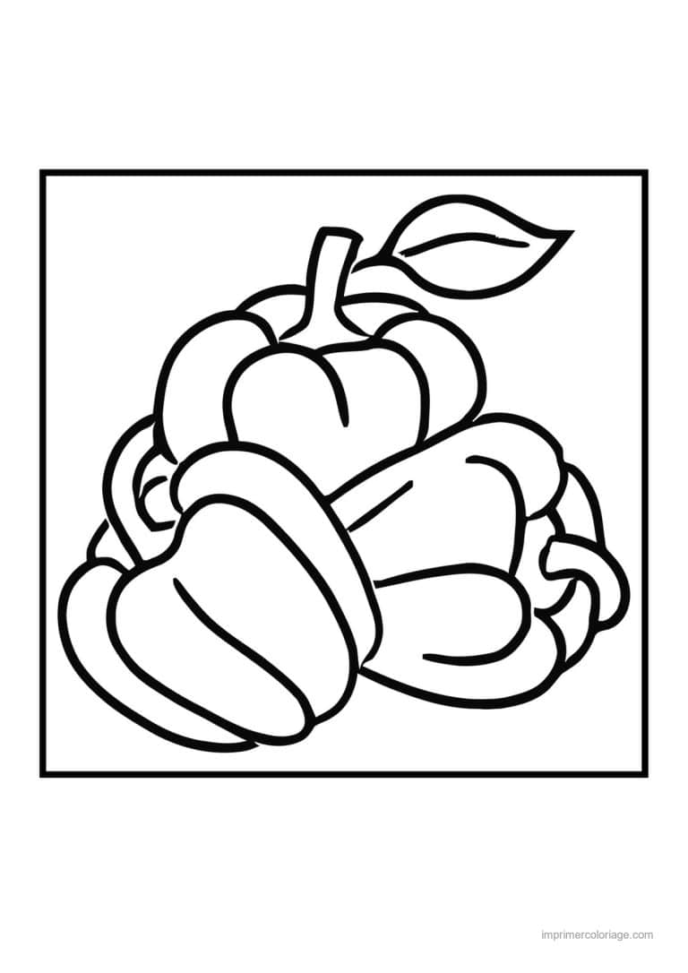 coloriage poivron piment trois poivrons et feuille - dessin gratuit &agrave; imprimer