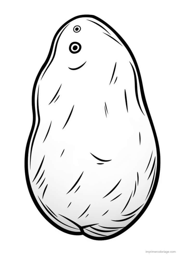 coloriage pomme de terre pomme de terre et son germe - dessin gratuit &agrave; imprimer