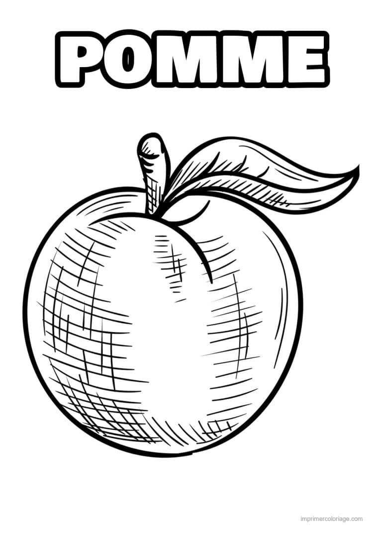 coloriage pomme pomme gravee et sa feuille - dessin gratuit &agrave; imprimer