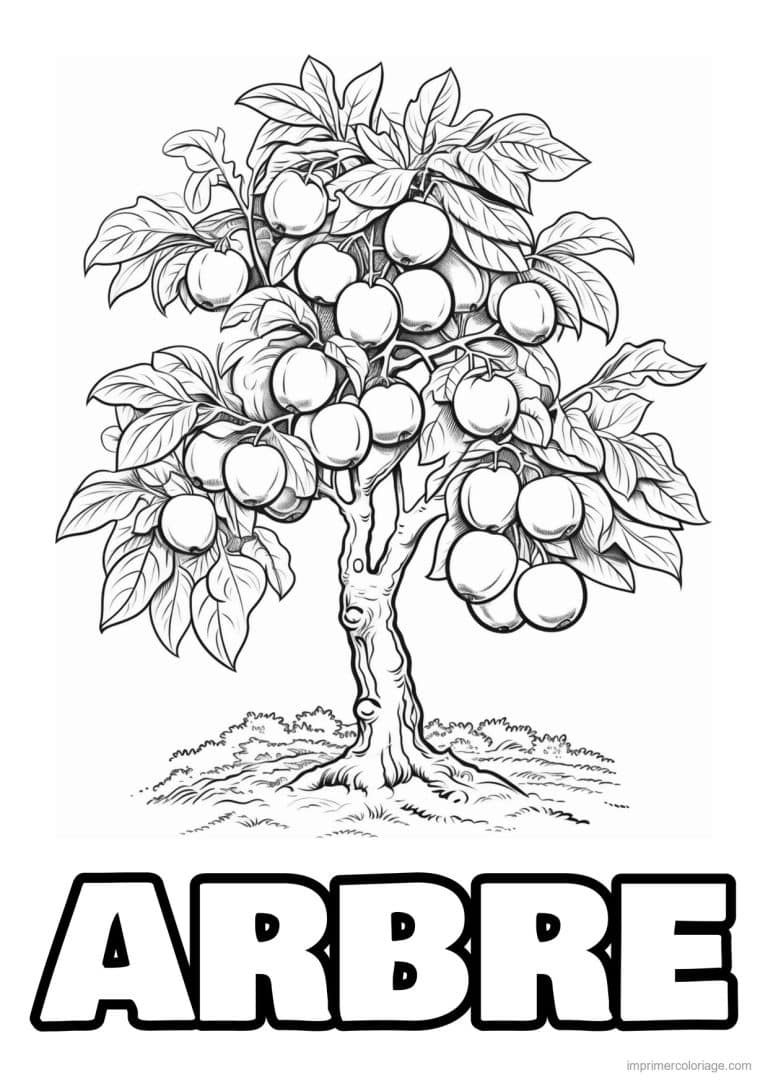 coloriage pommier charge de pommes - dessin gratuit &agrave; imprimer