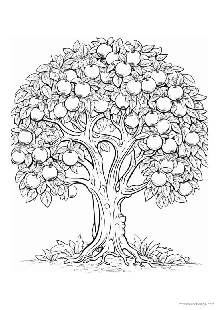 coloriage pommier tres feuillu - dessin gratuit &agrave; imprimer