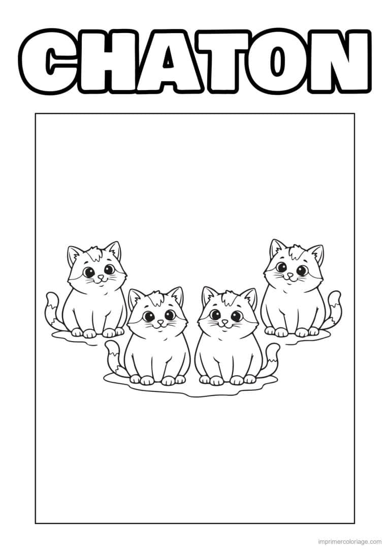 coloriage quatre petits chatons - dessin gratuit &agrave; imprimer