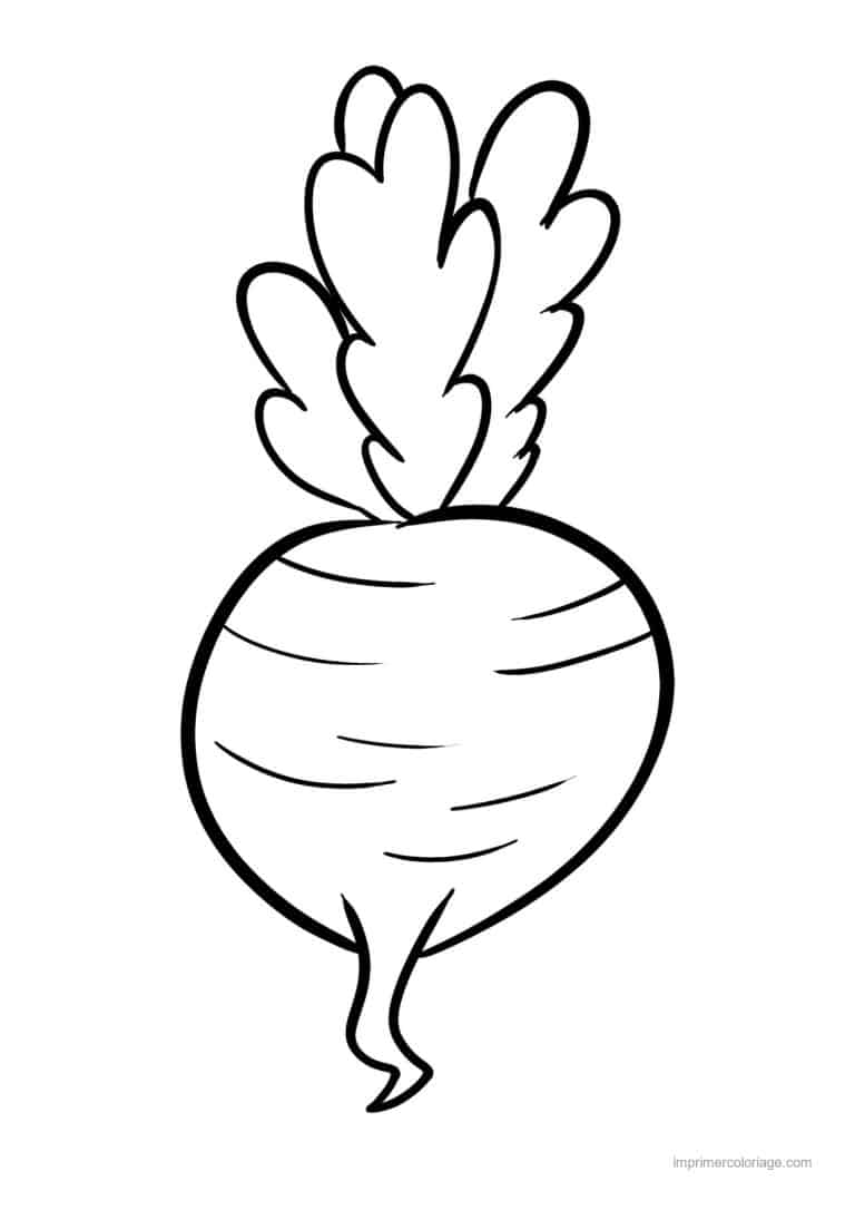 coloriage radis navet betterave betterave au trait epais - dessin gratuit &agrave; imprimer
