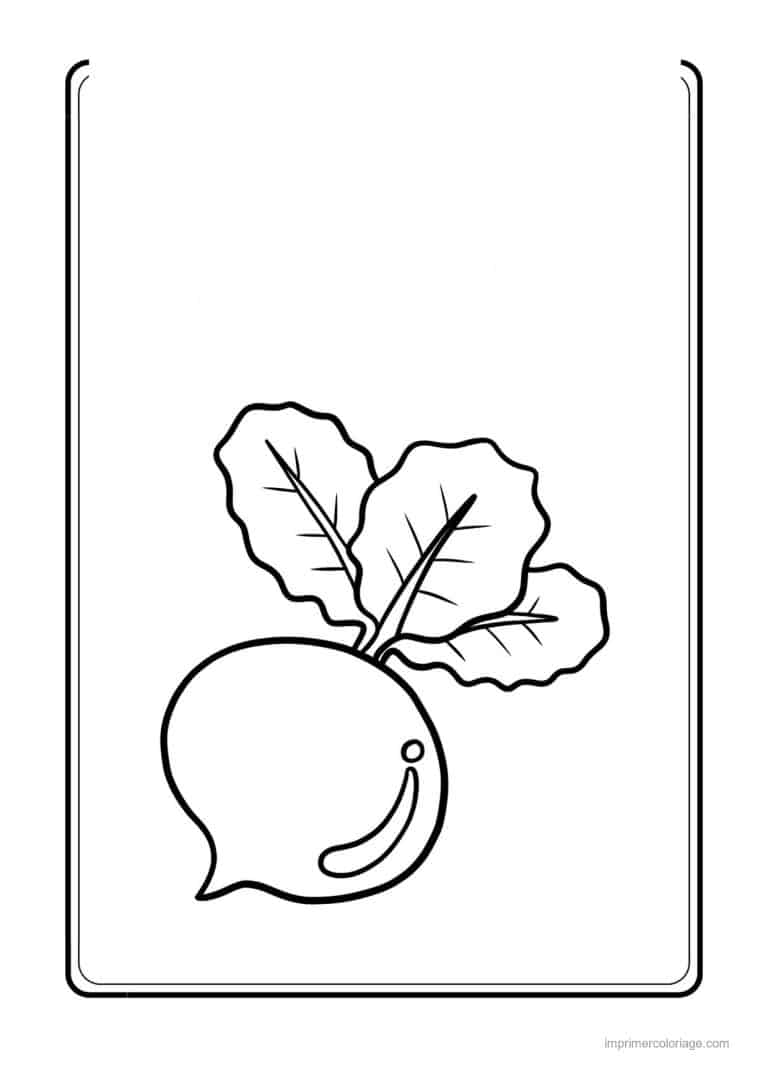coloriage radis navet betterave betterave et ses feuilles 4 - dessin gratuit &agrave; imprimer