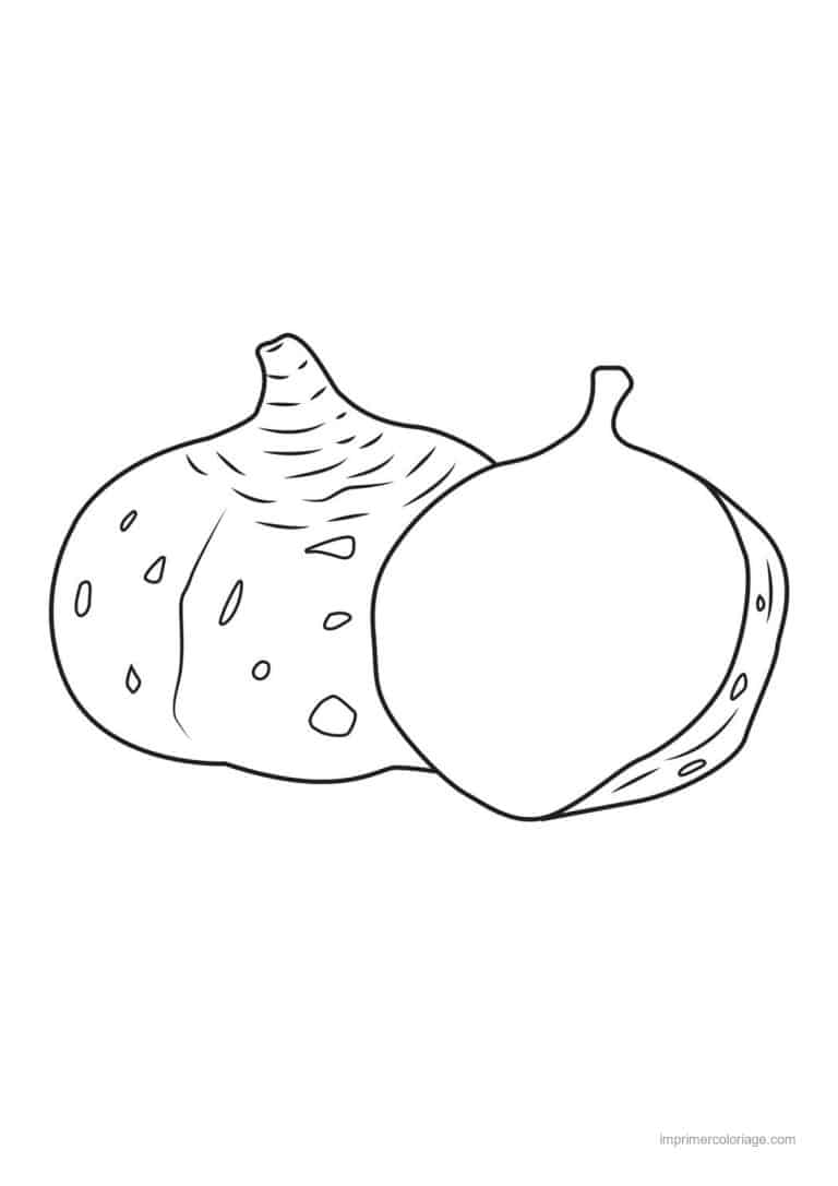 coloriage radis navet betterave jicama et sa racine - dessin gratuit &agrave; imprimer