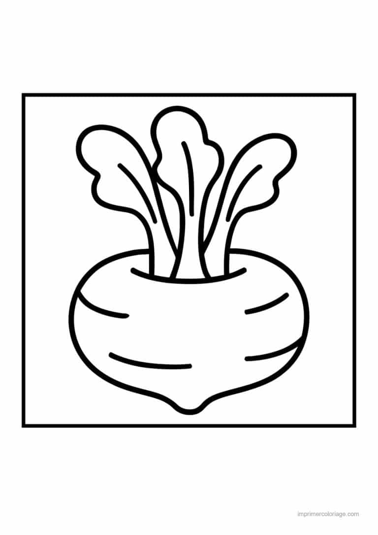 coloriage radis navet betterave navet et ses fanes 2 - dessin gratuit &agrave; imprimer