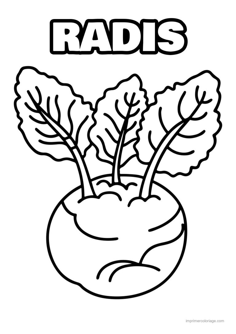 coloriage radis navet betterave navet et ses fanes - dessin gratuit &agrave; imprimer