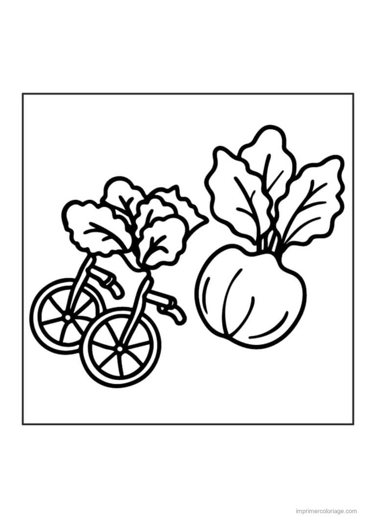 coloriage radis navet betterave radis kawaii a velo - dessin gratuit &agrave; imprimer