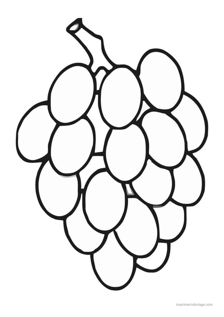 coloriage raisin grappe de raisin - dessin gratuit &agrave; imprimer