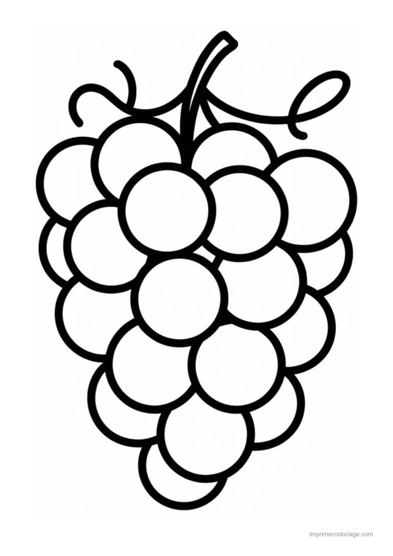 coloriage raisin grappe de raisin au trait epais - dessin gratuit &agrave; imprimer