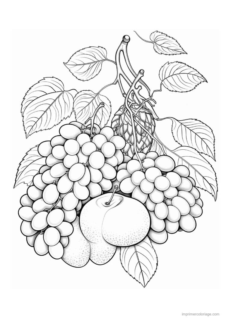 coloriage raisin grappe de raisin et banane - dessin gratuit &agrave; imprimer