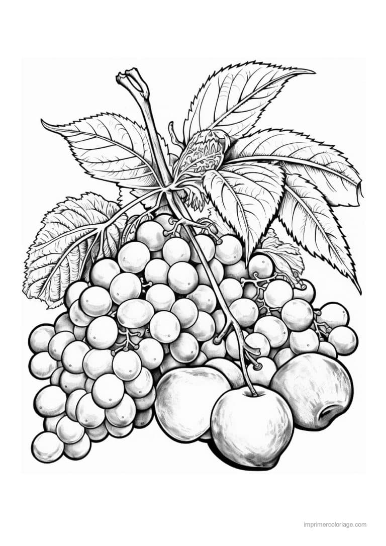 coloriage raisin grappe de raisin et cerises - dessin gratuit &agrave; imprimer