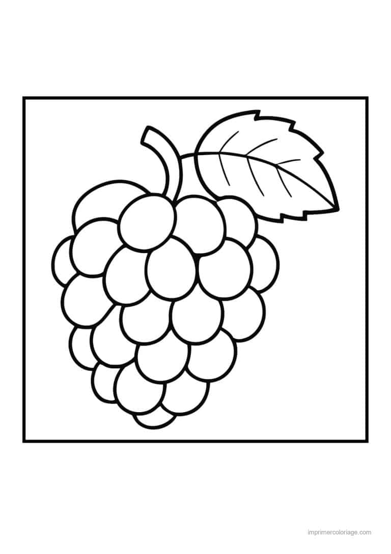 coloriage raisin grappe de raisin et feuille - dessin gratuit &agrave; imprimer