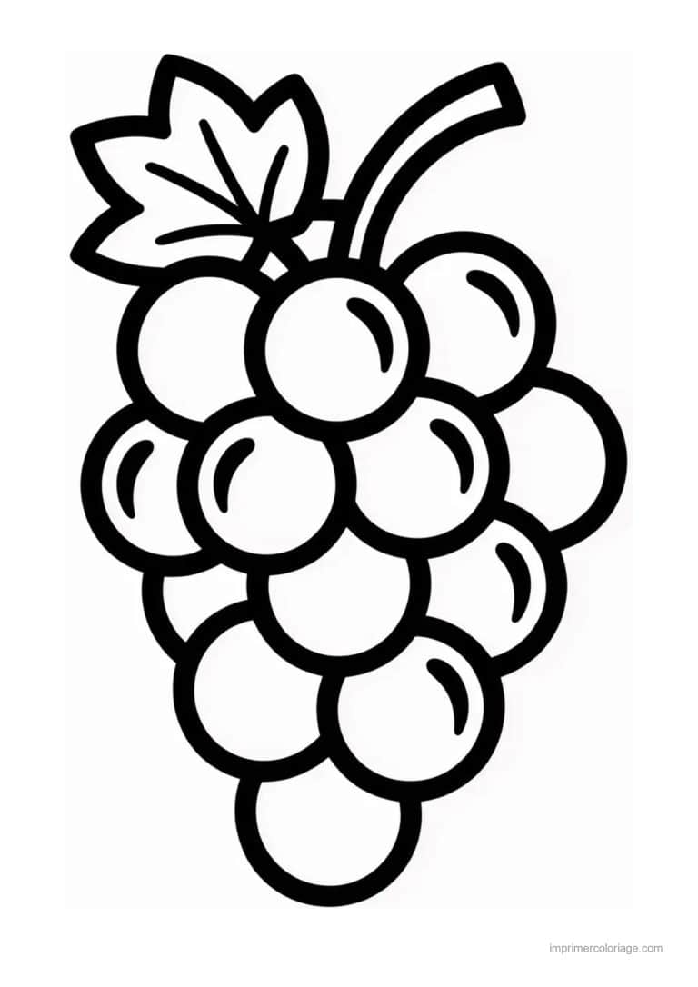 coloriage raisin grappe de raisin et feuille au trait epais - dessin gratuit &agrave; imprimer