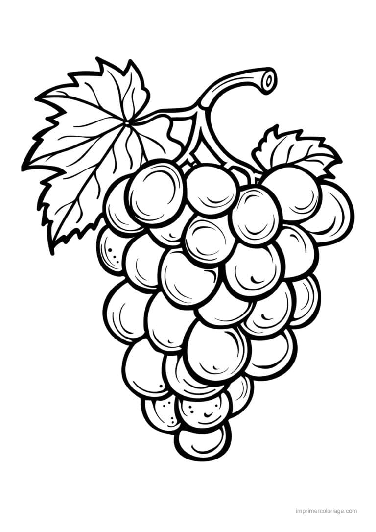 coloriage raisin grappe de raisin et feuilles 100 - dessin gratuit &agrave; imprimer