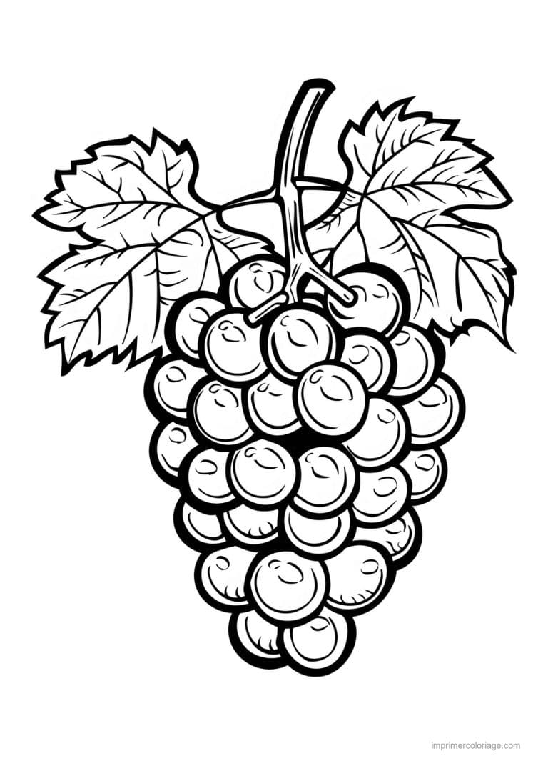 coloriage raisin grappe de raisin et feuilles 186 - dessin gratuit &agrave; imprimer