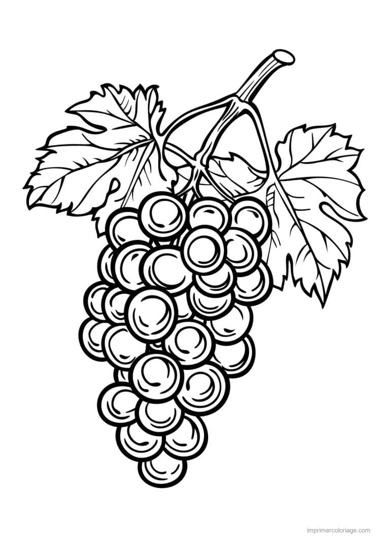 coloriage raisin grappe de raisin et feuilles 20 - dessin gratuit &agrave; imprimer