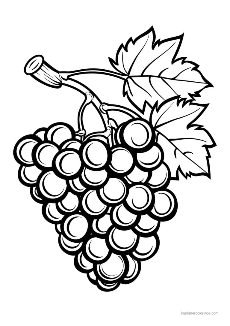 coloriage raisin grappe de raisin et feuilles 70 - dessin gratuit &agrave; imprimer