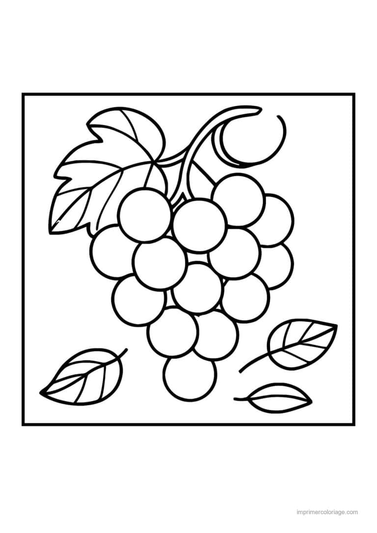 coloriage raisin grappe de raisin et feuilles - dessin gratuit &agrave; imprimer
