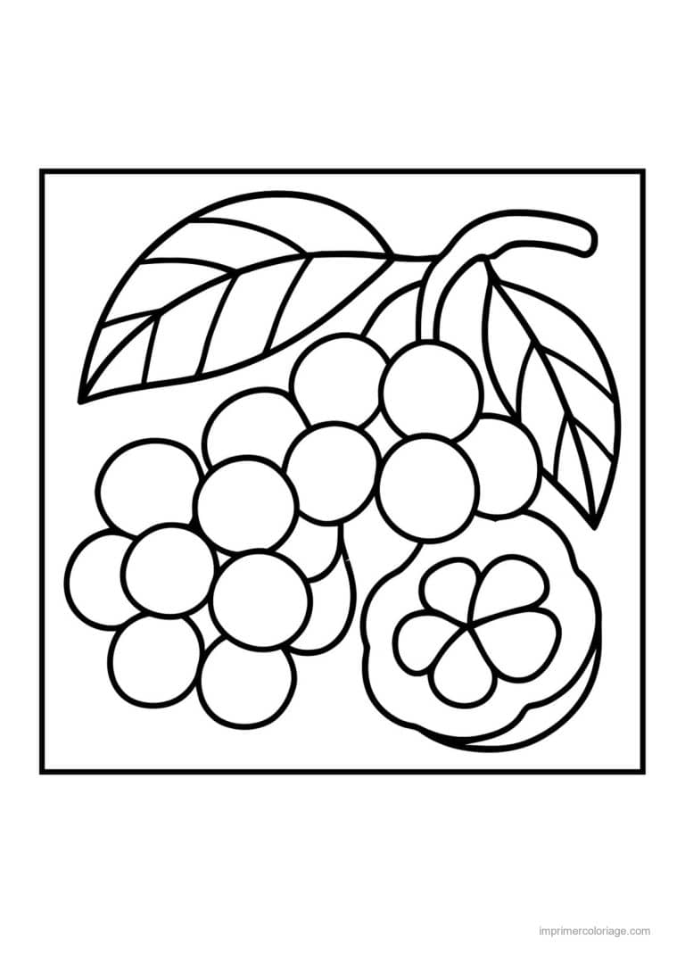 coloriage raisin grappe de raisin et fruits ronds - dessin gratuit &agrave; imprimer