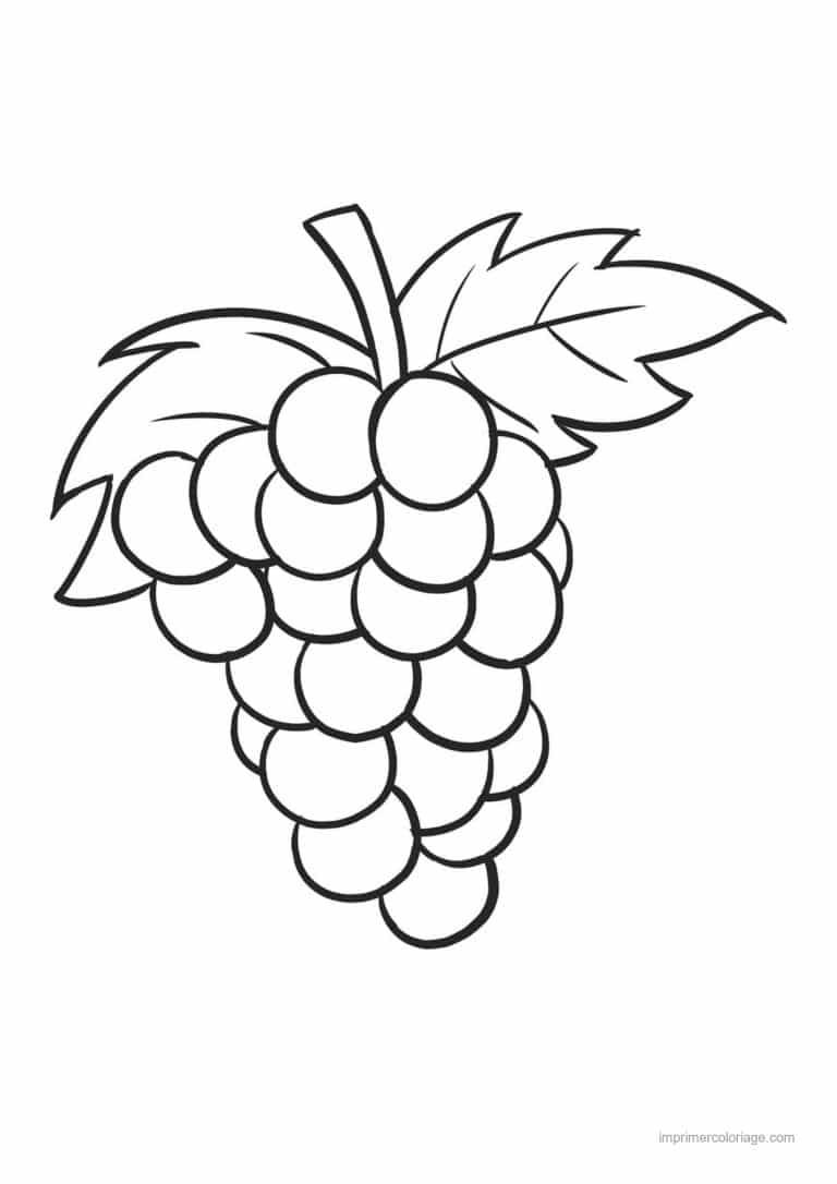 coloriage raisin grappe de raisin et sa feuille 2 - dessin gratuit &agrave; imprimer