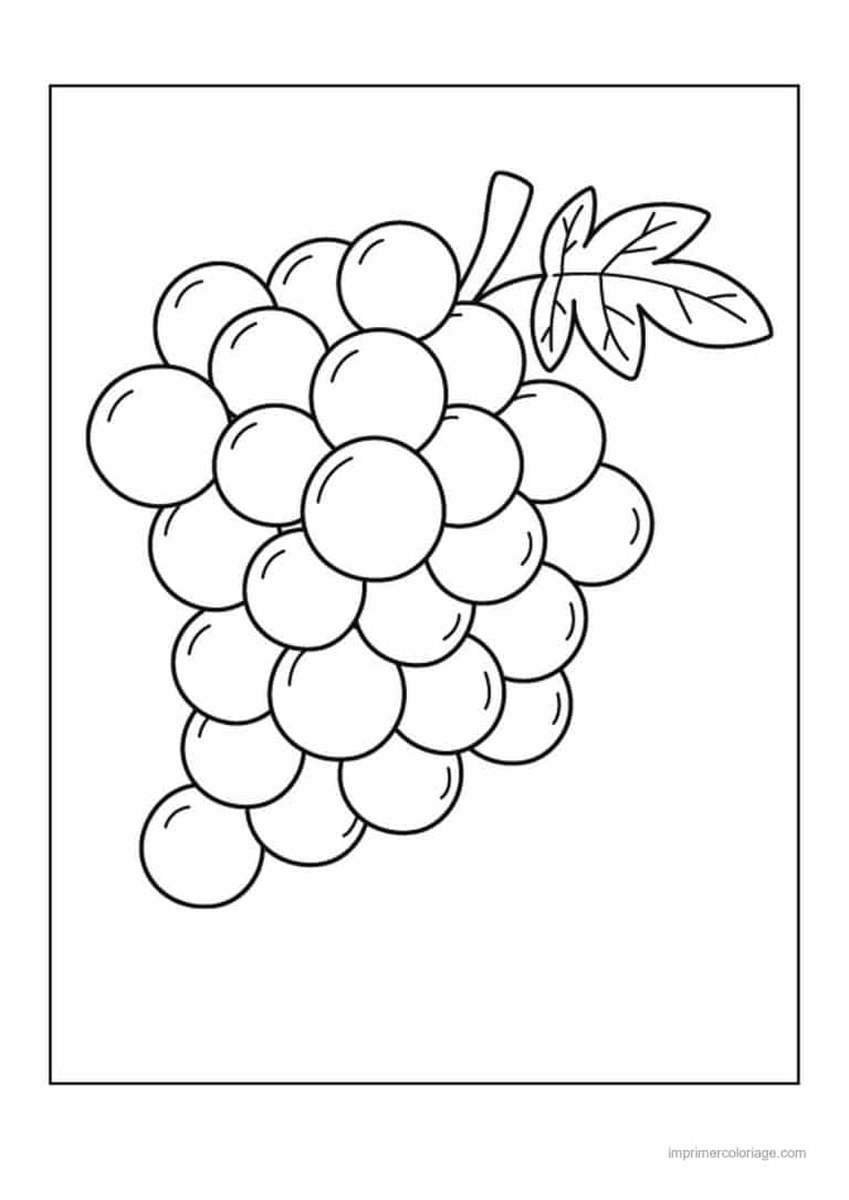 coloriage raisin grappe de raisin et sa feuille 3 - dessin gratuit &agrave; imprimer
