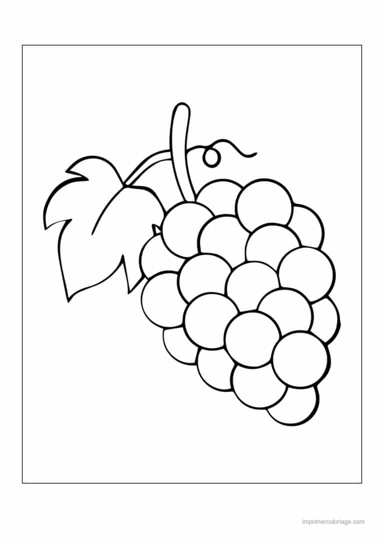 coloriage raisin grappe de raisin et sa feuille - dessin gratuit &agrave; imprimer