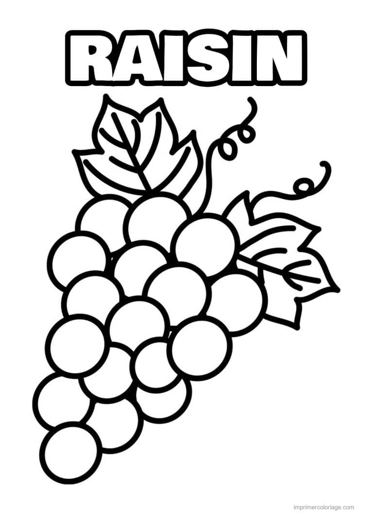 coloriage raisin grappe de raisin et vrilles 2 - dessin gratuit &agrave; imprimer